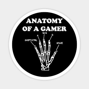 Anatomy of a Gamer Magnet